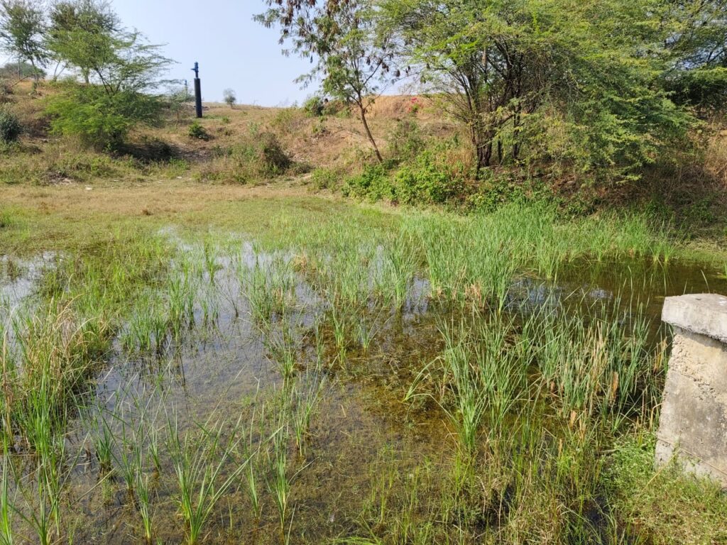 ફતેપુરા તાલુકાના જવેસી ગામે કડાણા થી દાહોદ જતી પાણીની પાઇપલાઇન માંથી વેડફાતા પાણીના કારણે નિરાધાર વિધવા મહિલાનાં ખેતરો બિનખેતી બન્યા*