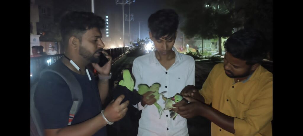 કુદરતી આફતે કાળો કેર વર્ત્યો:દાહોદ જિલ્લામાં વિનાશક વાવાઝોડામાં 525 મકાનોને નુકશાન,ત્રણના મોત... દાહોદમાં બીજા દિવસે ધોધમાર વરસાદ, ઉનાળા પાકને નુકસાન પહોંચવાની ભીતિ..