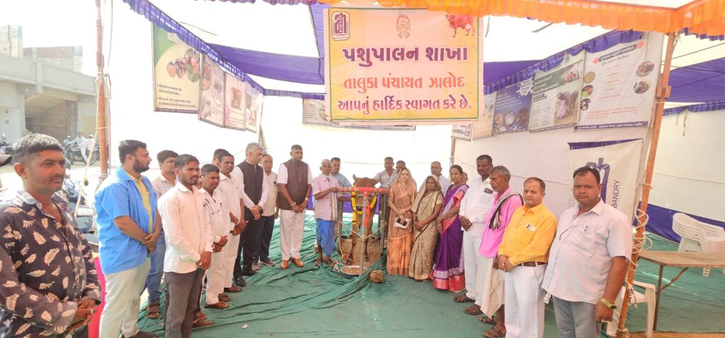 ઝાલોદ એપીએમસી ખાતે ઝાલોદ ધારાસભ્યશ્રી મહેશભાઈ ભુરીયાના અધ્યક્ષ સ્થાને રવિ-કૃષિ મહોત્સવનો થયો શુભારંભ ઝાલોદ 130 વિધાનસભાના ધારાસભ્યશ્રી મહેશભાઈ ભુરીયાએ પ્રાકૃતિક ખેત પદ્ધતિ અપનાવી બાગાયત ક્ષેત્રે અગ્રેસર બનેલા ખેડૂતોની મહેનતને બિરદાવી