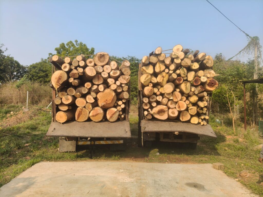 ગેરકાયદેસર લાકડાની હેરફેર અટકાવવા મહીસાગર વન વિભાગનું સફળ ઓપરેશન: બે વાહનો ઝડપાયા