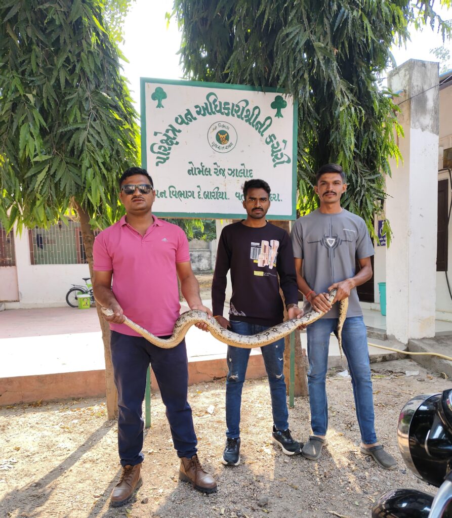 ઝાલોદ વનવિભાગ નોર્મલ રેન્જ ના ફોરેસ્ટર રાજેન્દ્ર એસ. ડામોર, દ્વારા અજગર રેસ્ક્યુ કરવામા આવ્યો.