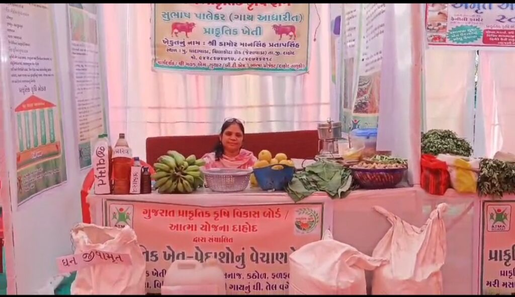 *ટ્રાઈબલ મ્યુઝિયમ દાહોદ ખાતે યોજાઈ રહેલા સશકત નારી મેળામાં પ્રાકૃતિક ખેતીના શાકભાજી અને અનાજના વેચાણ માટે સ્ટોલ લગાવાયા*