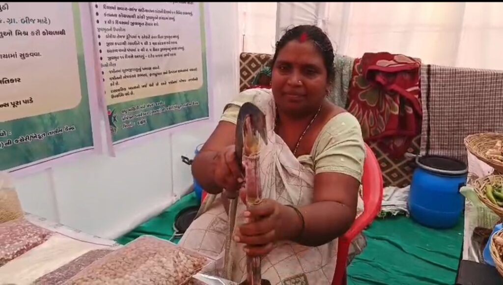 *ટ્રાઈબલ મ્યુઝિયમ દાહોદ ખાતે યોજાઈ રહેલા સશકત નારી મેળામાં પ્રાકૃતિક ખેતીના શાકભાજી અને અનાજના વેચાણ માટે સ્ટોલ લગાવાયા*