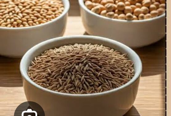  બિયારણની ખરીદી માત્ર અધિકૃત લાયસન્સ કે પરવાનો ધરાવતી સહકારી મંડળી, સરકારી સંસ્થા પાસેથી કરવી  ઉત્પાદકનું નામ, સરનામું અને તેના ધારા-ધોરણો દર્શાવેલા હોવા જરૂરી