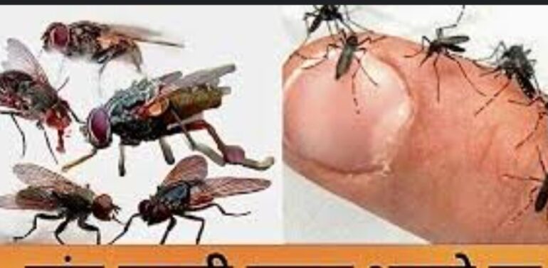*ફતેપુરા તાલુકાના સુખસરમાં માખી મચ્છરોનો ઉપદ્રવ વધતા રોગચાળો ફાટી નીકળવાનો ભય*  *સુખસરમાં અનેક જગ્યાઓ ઉપર પાણીના ખાબોચિયા તથા ગંદકી કરતા સ્થાનિકોના લીધે માખી મચ્છરોનો ઉપદ્રવ વધી રહ્યો છે*