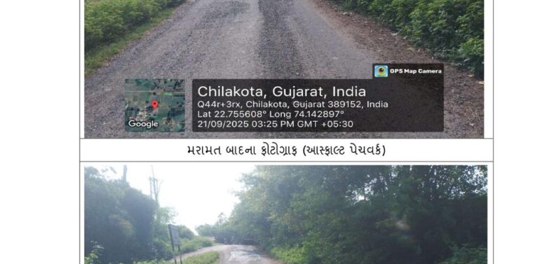  *માર્ગ અને મકાન વિભાગ પંચાયત દ્વારા કરવામાં આવી ડામર અને પેચવર્કની કામગીરી*