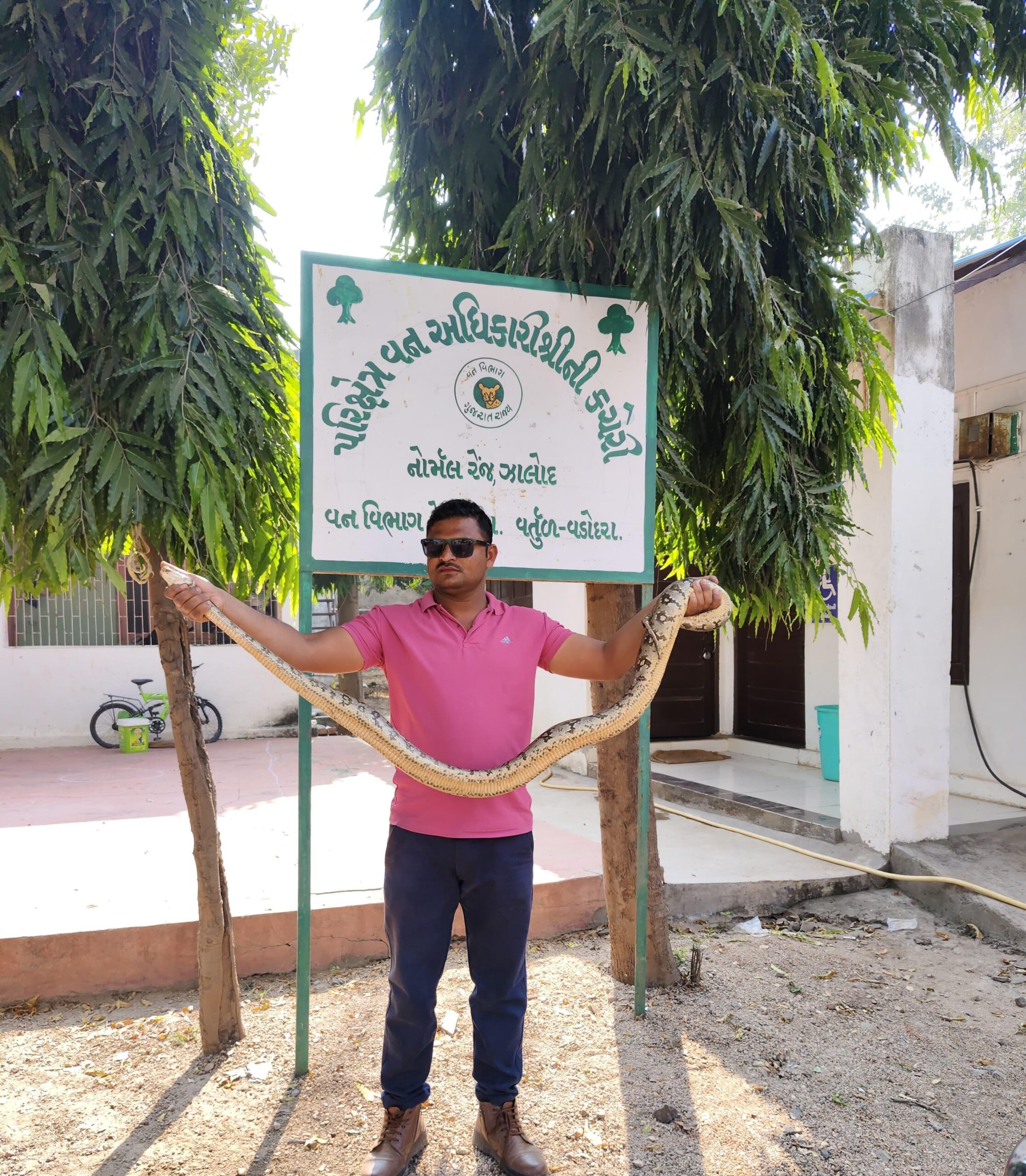 ઝાલોદ વનવિભાગ નોર્મલ રેન્જ ના ફોરેસ્ટર રાજેન્દ્ર એસ. ડામોર, દ્વારા અજગર રેસ્ક્યુ કરવામા આવ્યો.