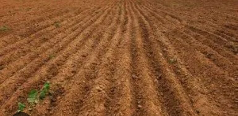  લીમખેડાના વલુંડીમાં ખેડૂતની જમીન બારોબાર પોતાના નામે કરનાર ઇસમો સામે આખરે ગુનો નોંધાયો..  દાહોદના ઈ સમયે ભણતા નામ નો લાભ લઈ બોગસ દસ્તાવેજો ઉભા કરી જમીન નામે કરી હતી