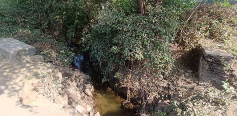  સુખસર તાલુકાના જવેસી સિંચાઈ તળાવથી પાટડીયા જતી નહેર વર્ષોથી બિસ્માર હાલતમાં:જવાબદારો કુંભકર્ણની નિંદ્રામાં?